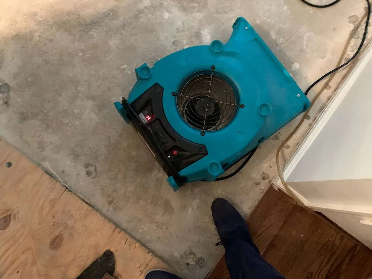 Air mover drying subfloor during Commercial Water Damage Restoration in Sutton